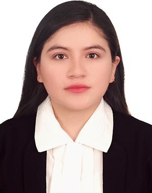 Vicepresidente de Finanzas